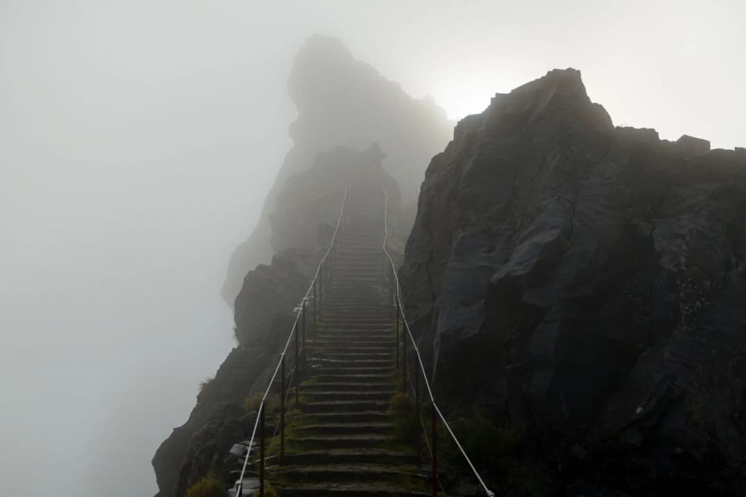 Tracks