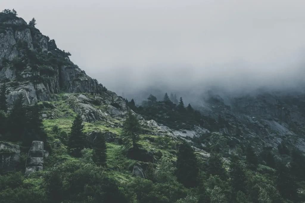 Mountain view